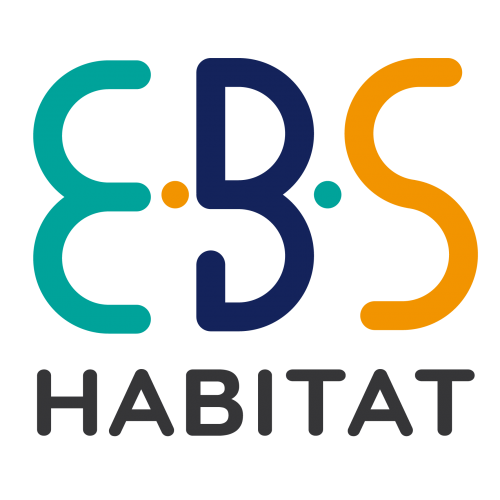 Logo EBS